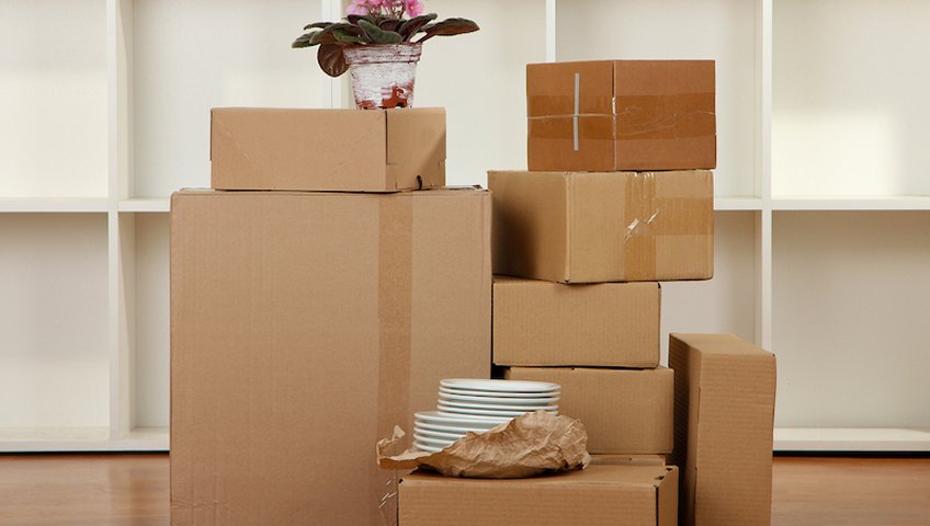 Domestic Relocation